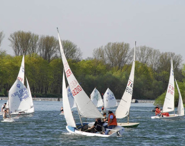 Die Ansegelregatta 2011 in Sasbach war...nem Wind und Sonnenschein begnstigt.   | Foto: Roland Vitt