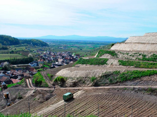 Die Flurneuordnung Schneckenberg in Achkarren nimmt Gestalt an.  | Foto: Benjamin Bohn