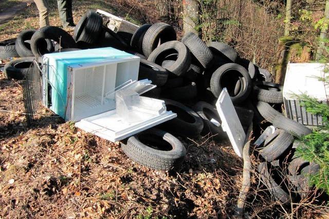 Reifen und Khlgerte im Wald abgeladen