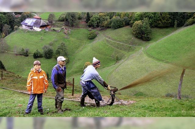 Wie die Glle zum Steilhang kommt