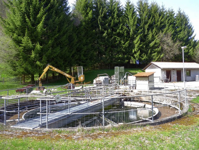 Soll zugunsten einer neuen Abwasserleitung nach Tegernau stillgelegt werden  | Foto: dsa