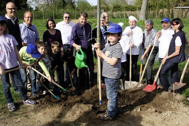 Bume am Neumagen sollen Gemeinden verbinden