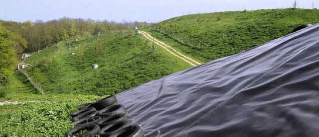 Erfolgreich renaturiert wurde der erst...abschnitt der alten Kreismlldeponie.   | Foto: Volker Mnch