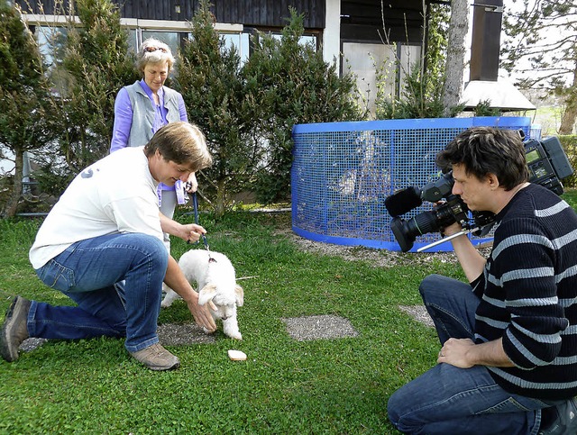 Hundetrainer Uwe Friedrich zeigt Besit...der Vox zeigt den Film im Sptsommer.   | Foto: Heidrun Simoneit