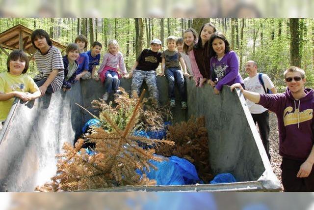 Sackweise Mll im Wald