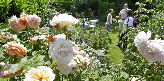 Die Aktion offene Gartentr wartet wieder mit jeder Menge floraler Kleinode auf.  | Foto: ingo schneider