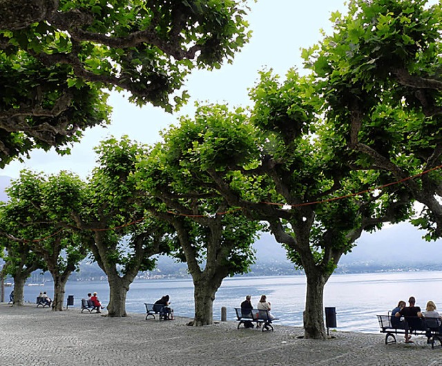 Ascona, Schweiz  | Foto: Bernd Kregel