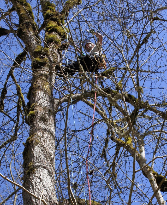 Frieder Bross klettert in Windeseile i...on bruchgefhrdeten sten zu befreien.  | Foto: Martha Weishaar