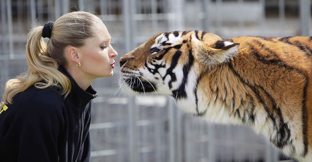 Auch Schmusen ist angesagt: Carmen Zander mit einem ihrer Bengalischen Tiger.   | Foto: Christoph Breithaupt