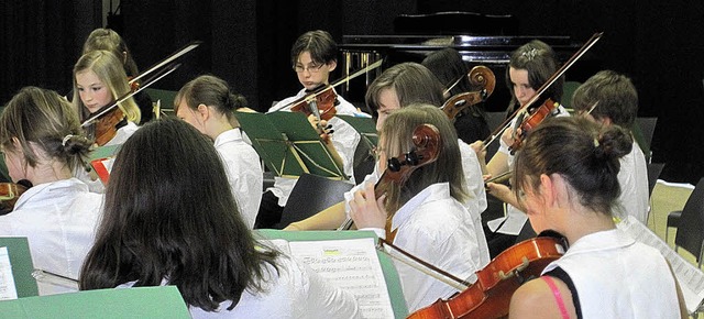 Die Streicher der Heimschule beim Frhlingskonzert.  | Foto: Schule