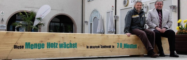 Holz als nachwachsender Rohstoff: Stad...en im Kanderner Stadtwald nachwächst. | Foto: Markus Maier Holz als nachwachsender Rohstoff: Stad...en im Kanderner Stadtwald nachwächst. | Foto: Markus Maier