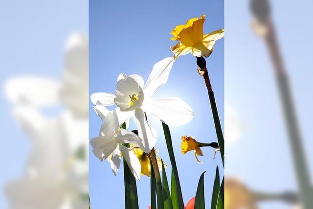 Sonntagseinkauf mit groem Programm