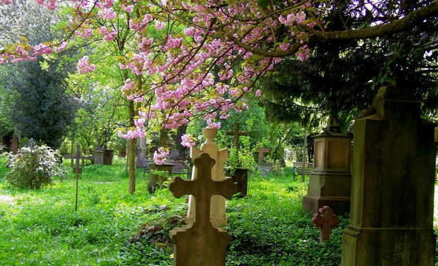 Alter Friedhof Freiburg-Herdern  | Foto: Hans Sigmund