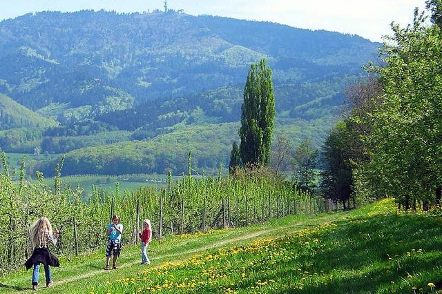 Mit dem Wanderbus auf den Blauen