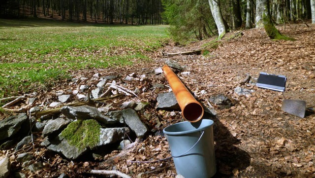 Der Quellbach versiegt, behauptet Heinz-Michael Peter von der BI Atdorf.   | Foto: Brgerinitiative