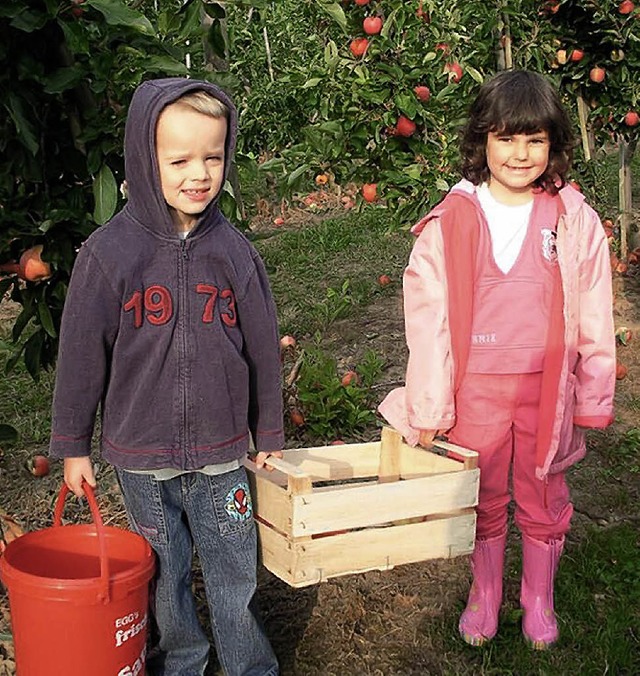 Eschbacher Kindergartenkinder helfen bei der Apfelernte   | Foto: Privat