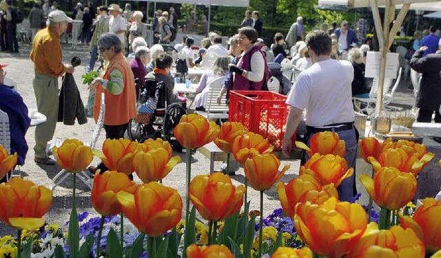 Treffpunkt fr Jung und Alt: das Tulpenfest der Stadtparkfreunde  | Foto: HEIDI FSSEL