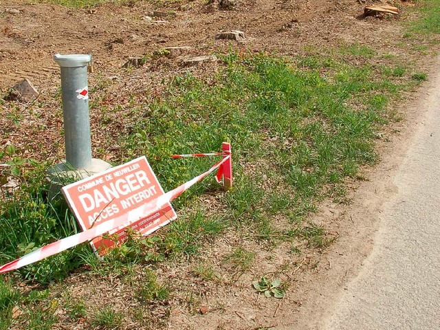 Die Bume ber der Altdeponie Roemislo...Gelnde wie in Le Letten abgeriegelt.   | Foto: Annette Mahro