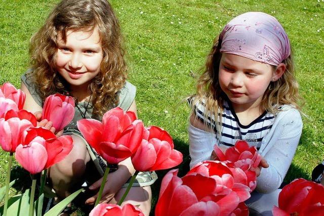 Fotos: Das Tulpenfest in Lahr