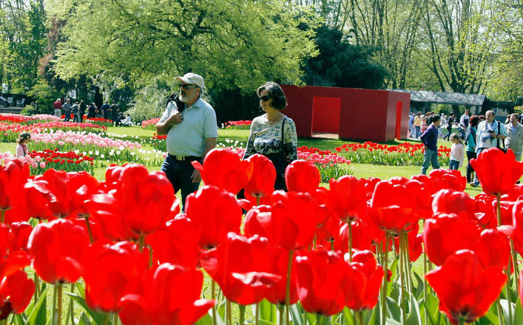 Das Tulpenfest im Stadtpark in Lahr.