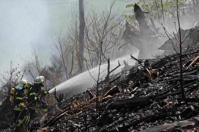 100 Feuerwehrleute bekmpfen Flchenbrand zwischen Elzach und Oberwinden
