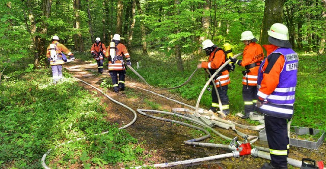 Rund 70 Wehrleute   der Feuerwehr Reut... bung zur Waldbrandbekmpfung teil.    | Foto: Dieter Erggelet