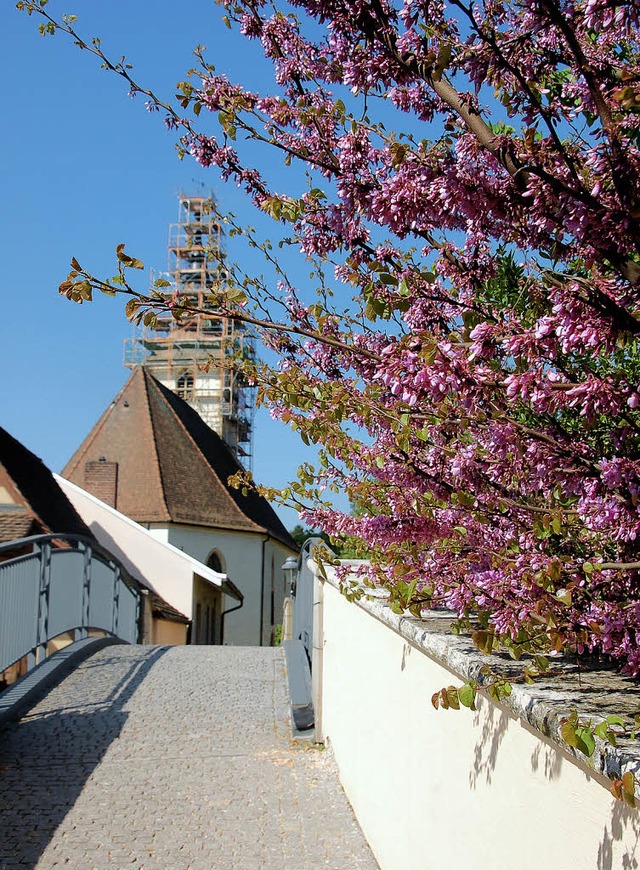 Auch mit eingerstetem Turmdach ist die Martinskirche ein beliebtes Fotomotiv.   | Foto: Luisa Vetter