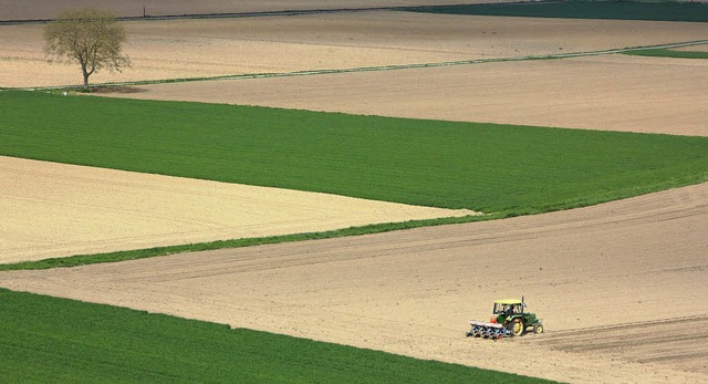 Bewirtschaftung von Bodenflchen in der Region  | Foto: Hans-Peter Ziesmer