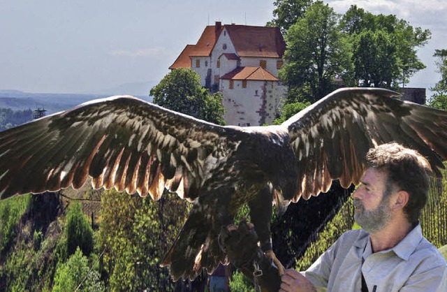 Franz Ruchlak ist Falkner aus Leidensc...211; morgen auf Schloss Staufenberg.    | Foto: privat