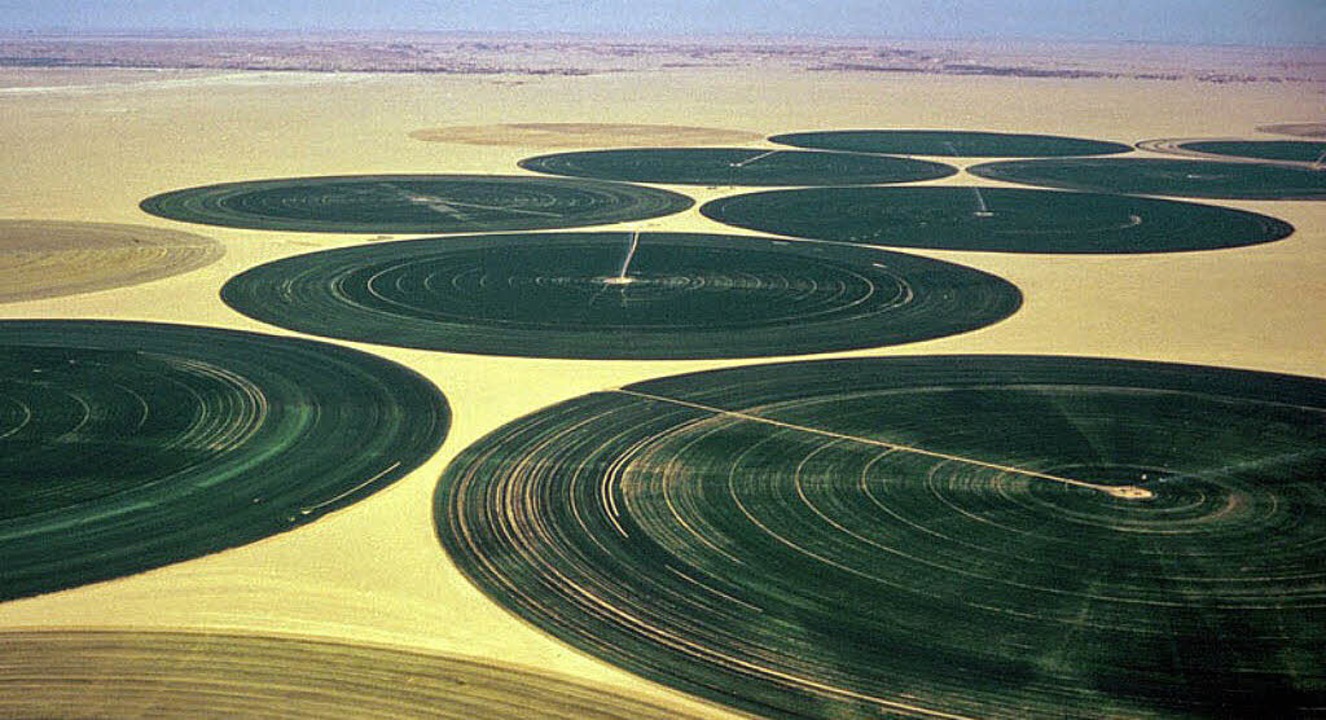 &#8222;Unverantwortlich&#8220;: Getreideanbau in den Kufra-Oasen in Libyen  | Foto: bz