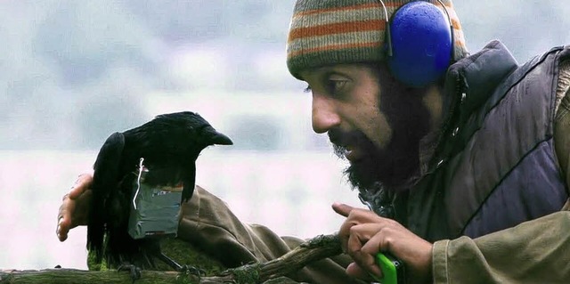 Der dmliche Gotteskrieger und der prparierte Vogel: Adeel Akhtar als Faisal   | Foto: capelight