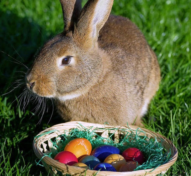 Ein Osterhase und sein Werk.   | Foto: DPA