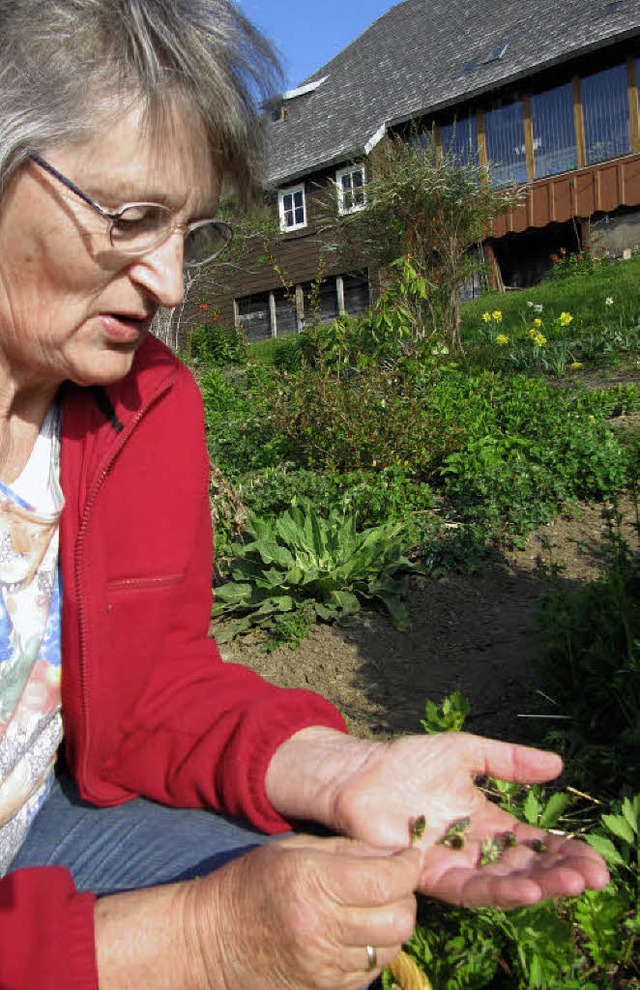 Calixta Maier in ihrem Krutergarten i... und oft dazu auch noch gut schmeckt.   | Foto: Susanne Filz