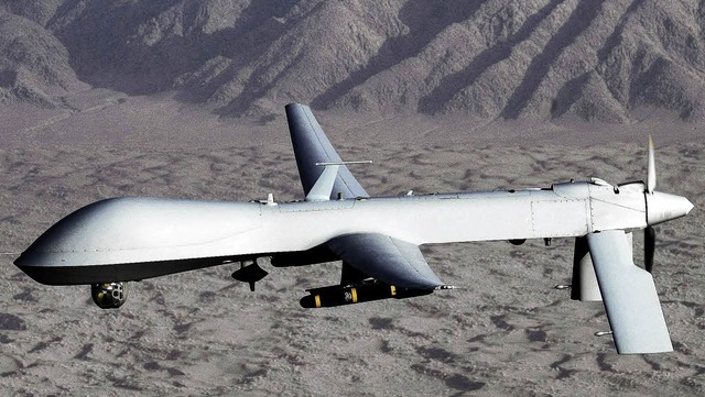 Das Foto der US Air Force zeigt eine Drohne vom Typ MQ-1 Predator.   | Foto: DPA