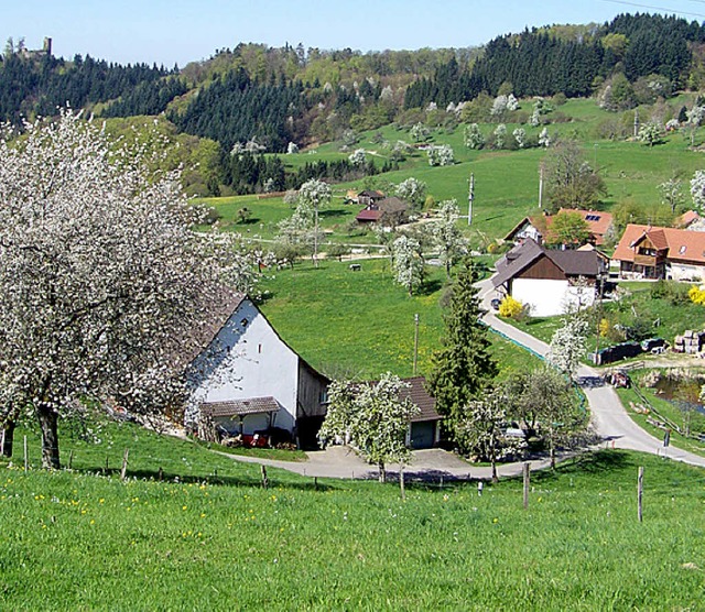 Mit viel Landschaft kann Malsburg-Marz...ie Ruine Sausenburg (ganz links oben).  | Foto: Kanmacher