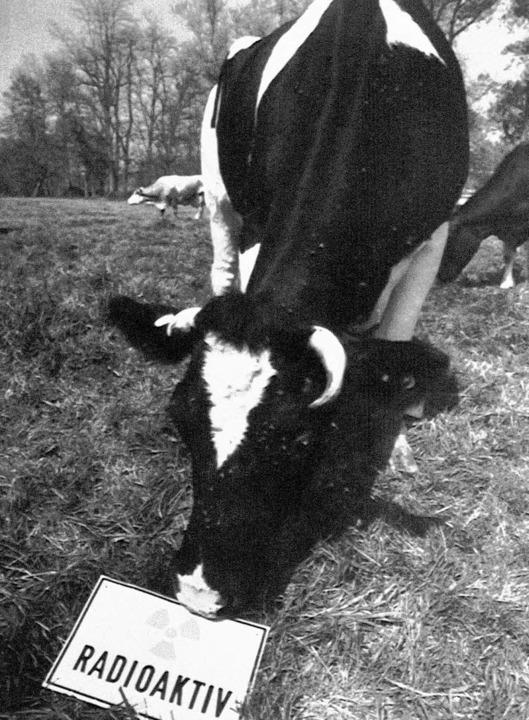 Michelstadt, Anfang Mai 1996: Eine Kuh...n sich viele Landwirte nicht daran.     | Foto: dapd