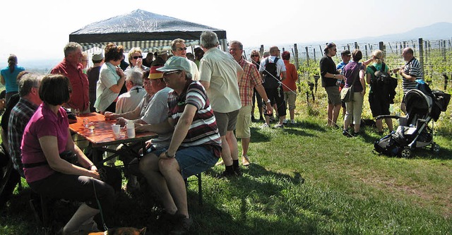 Rund 150 Wanderfreunde hatten am Oster...ngebotenen Weinwanderung teilgenommen.  | Foto: Rieger