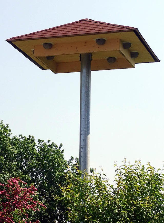 Neubauwohnungen  in luftiger Hhe: der Schwalbenbaum   | Foto: Drescher