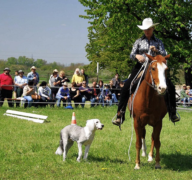 Besonders interessant fr die Zuschaue...ie Prfung fr Reiter, Pferd und Hund.  | Foto: privat
