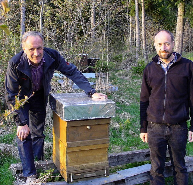 Volkszhlung erwnscht! Bernhard Saier...hschwarzwald regelmig ihre Bienen.    | Foto: Thomas  Binder