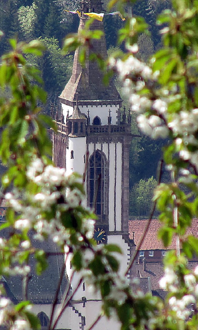 Fr das &#8222;Wei&#8220; am Sonntag,...ern die Bltenpracht der Bergkirschen.  | Foto: Thomas Winckelmann