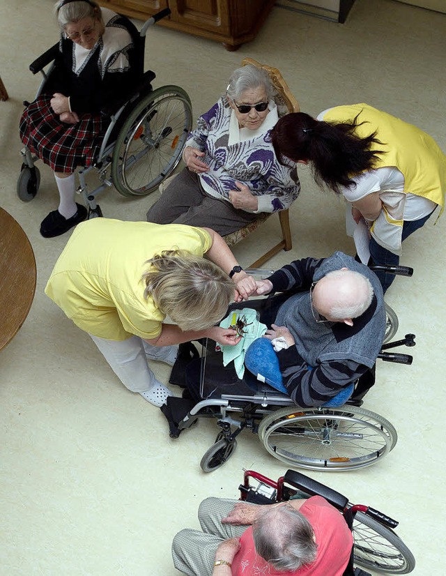 In Magdeburg ist man schon ein Stck w...ibt es genehmigte Brgerarbeitspltze.  | Foto: DPA