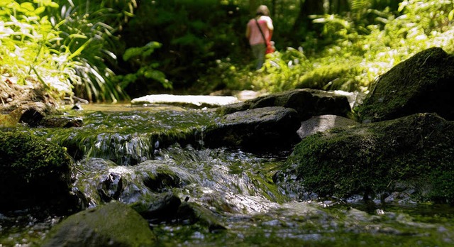 Rund um den Sulzbach geht es um das Thema Wasser.   | Foto: BZ