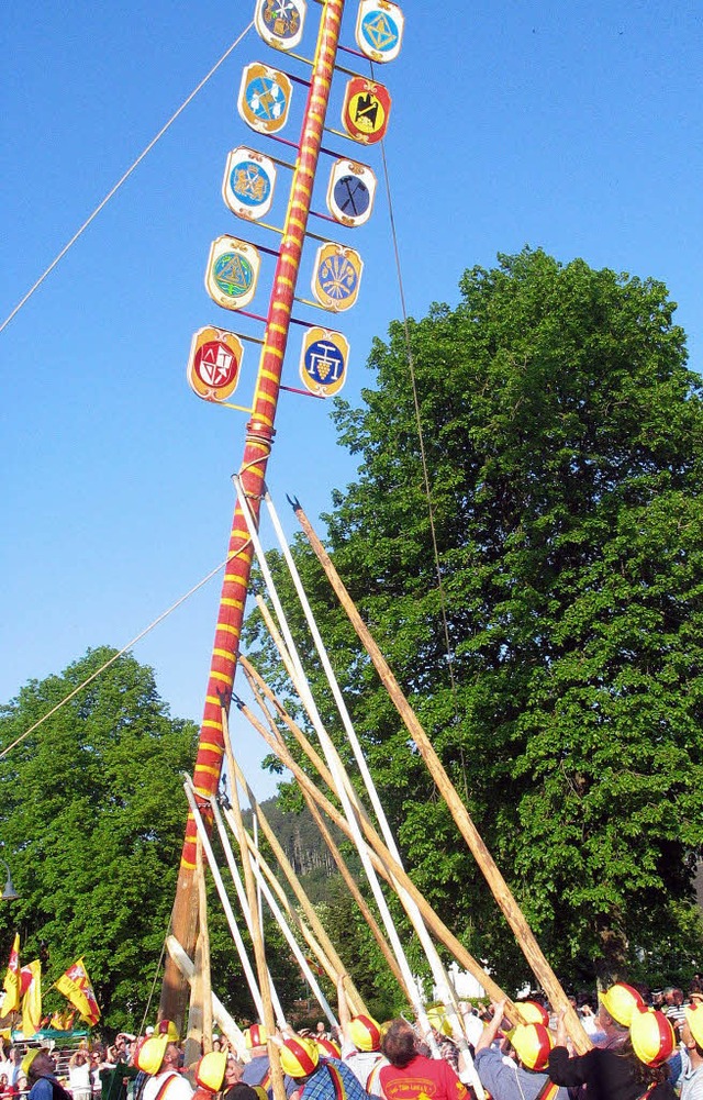 Maibaumstellen mit Muskelkraft:  2008 in Bleibach.   | Foto: Gerda Oswald