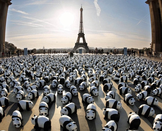 1600 Pappmach-Pandas hat der WWF 2008...h 1600 Pandabren auf der Welt gibt.    | Foto: AFP