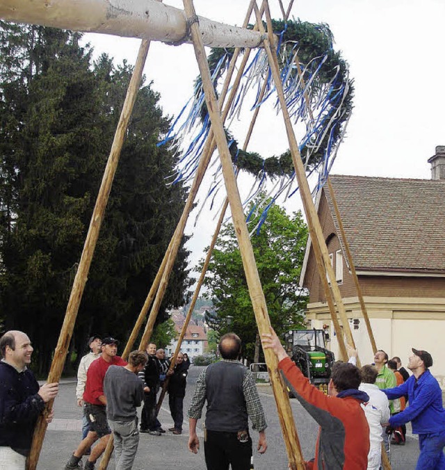 Traditioneller Kraftakt: Der 28 Meter ... von den Junghandwerkern aufgerichtet.  | Foto: Erhard Morath
