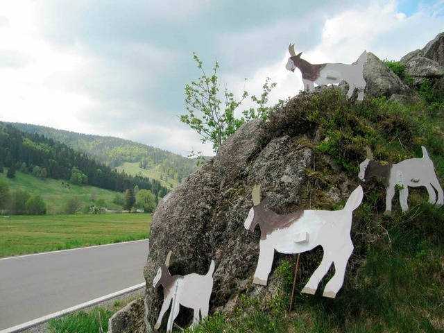 Von weitem fast wie echt: Beim Felsen ...e man heute Morgen einer Ziegenschar.   | Foto: Susanne Filz