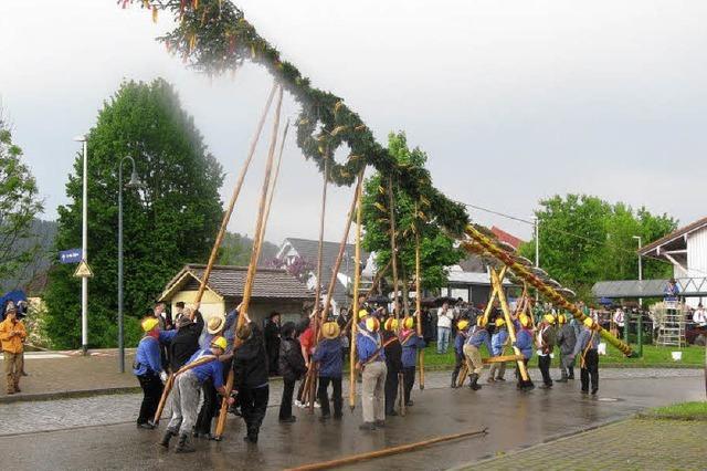 Auch der sechste Maibaum steht gut