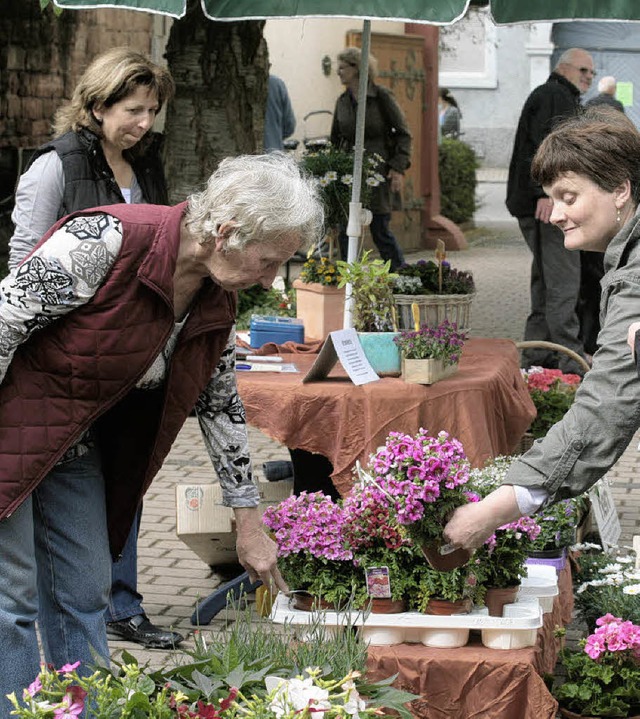 Der Frhling kam in Form von Blumen am Samstag in den Kippenheimer Rathaushof.   | Foto: sandra decoux-kone