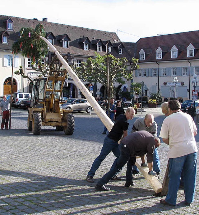 Zum 30. Mal stellten die Brezele Buebe den Maibaum.    | Foto: Bode